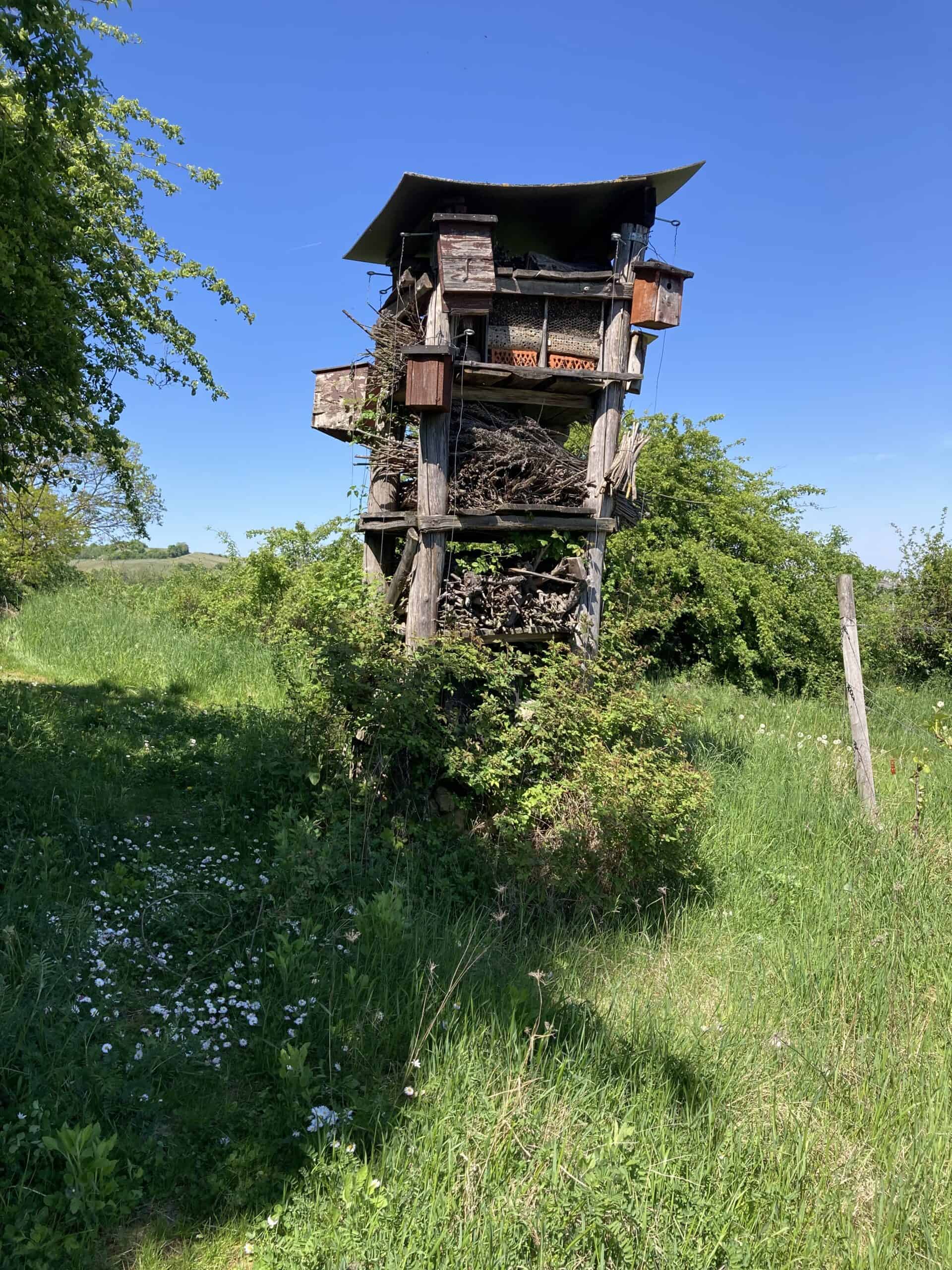 Lebensturm im Herrenberg